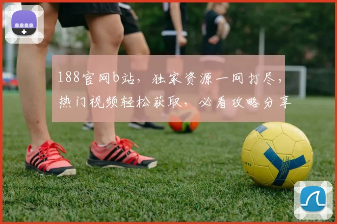 188官网b站，独家资源一网打尽，热门视频轻松获取，必看攻略分享