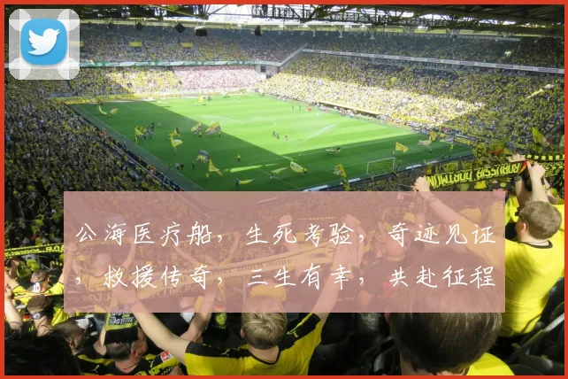 公海医疗船，生死考验，奇迹见证，救援传奇，三生有幸，共赴征程