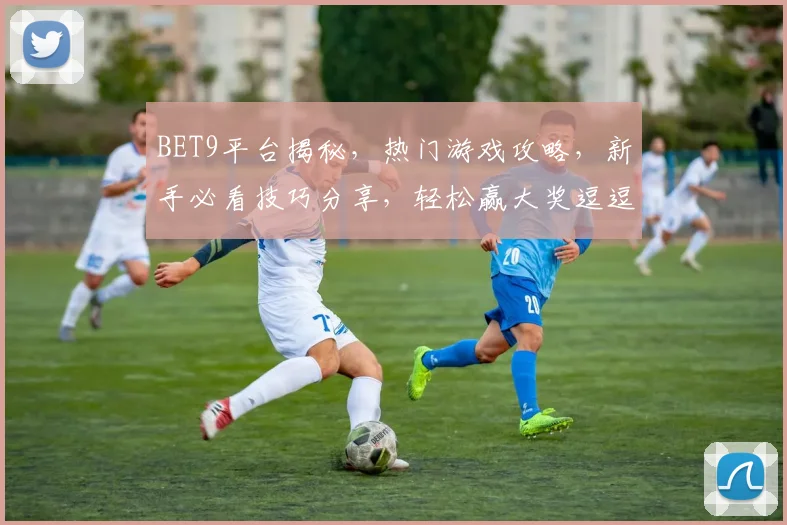 BET9平台揭秘，热门游戏攻略，新手必看技巧分享，轻松赢大奖逗逗乐