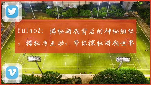 fulao2：揭秘游戏背后的神秘组织，揭秘与互动，带你探秘游戏世界