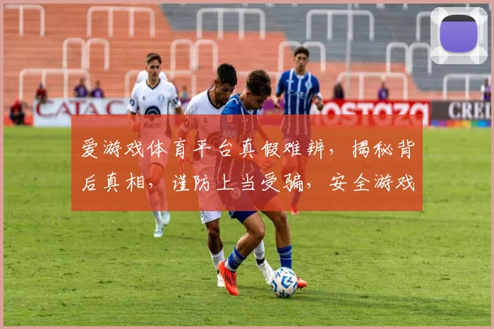 爱游戏体育平台真假难辨，揭秘背后真相，谨防上当受骗，安全游戏