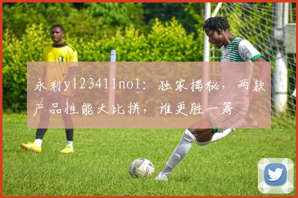 永利yl23411no1：独家揭秘，两款产品性能大比拼，谁更胜一筹
